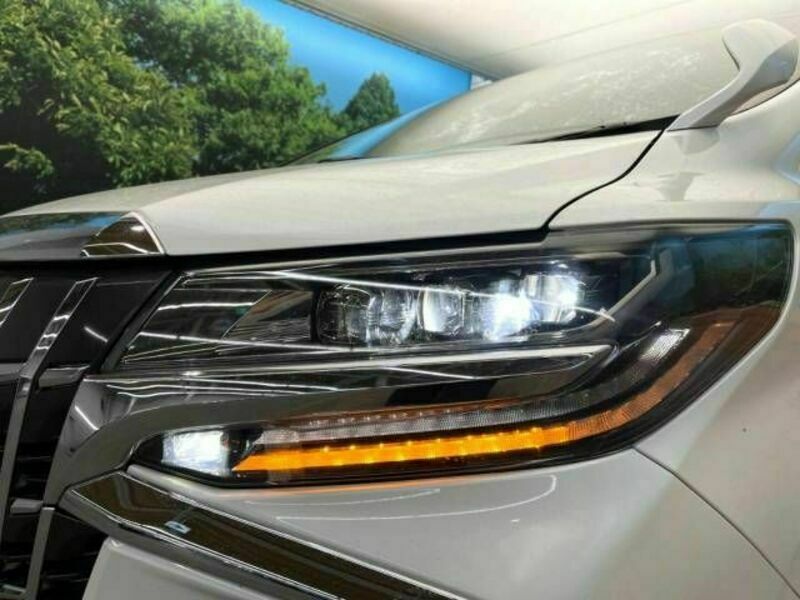 ALPHARD-10