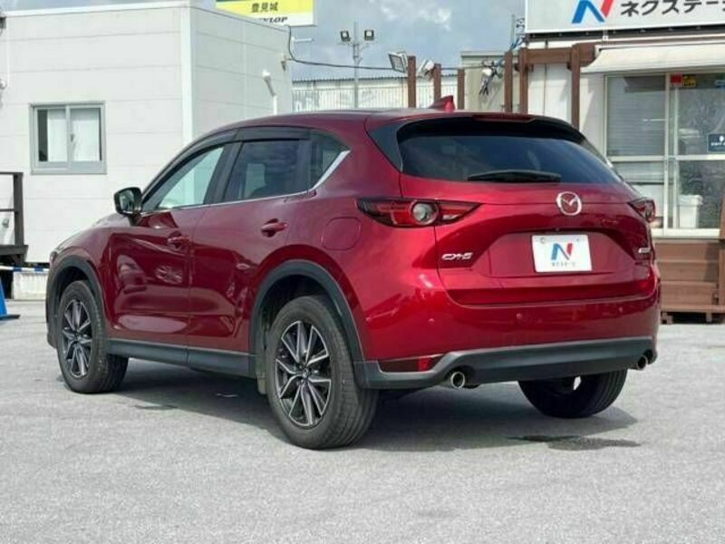 CX-5-19