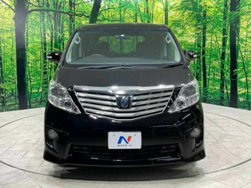 ALPHARD-16