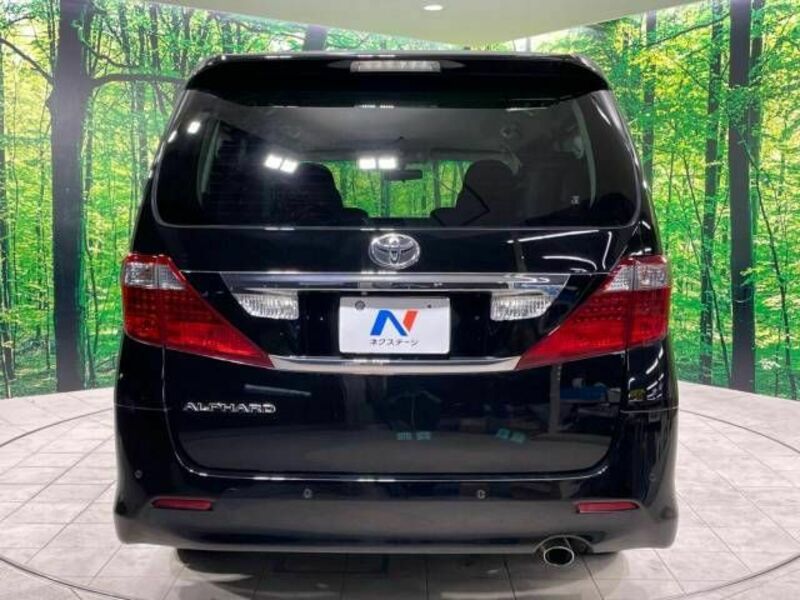 ALPHARD-17