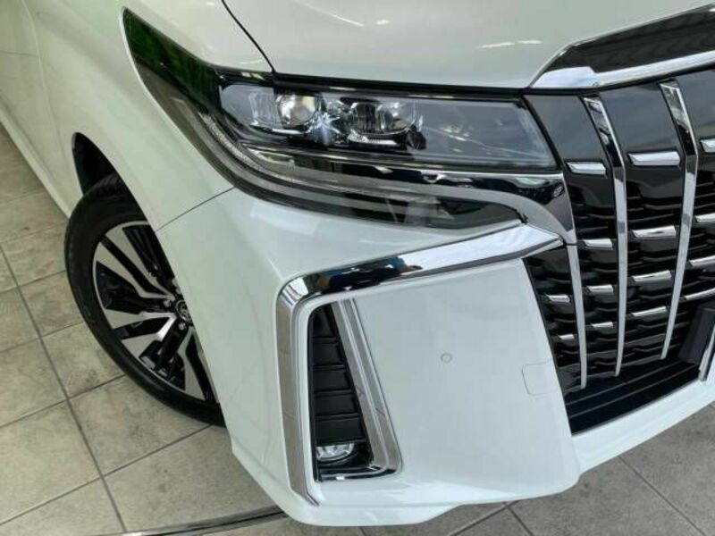 ALPHARD-14