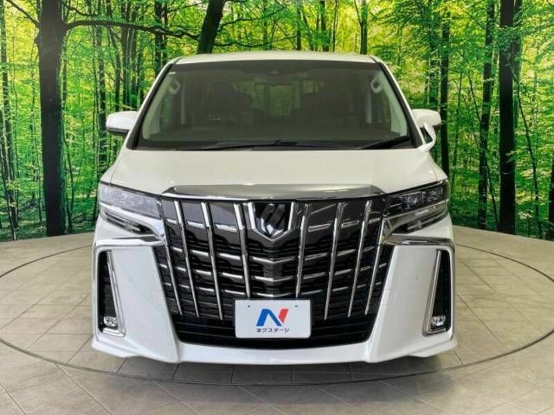 ALPHARD-16