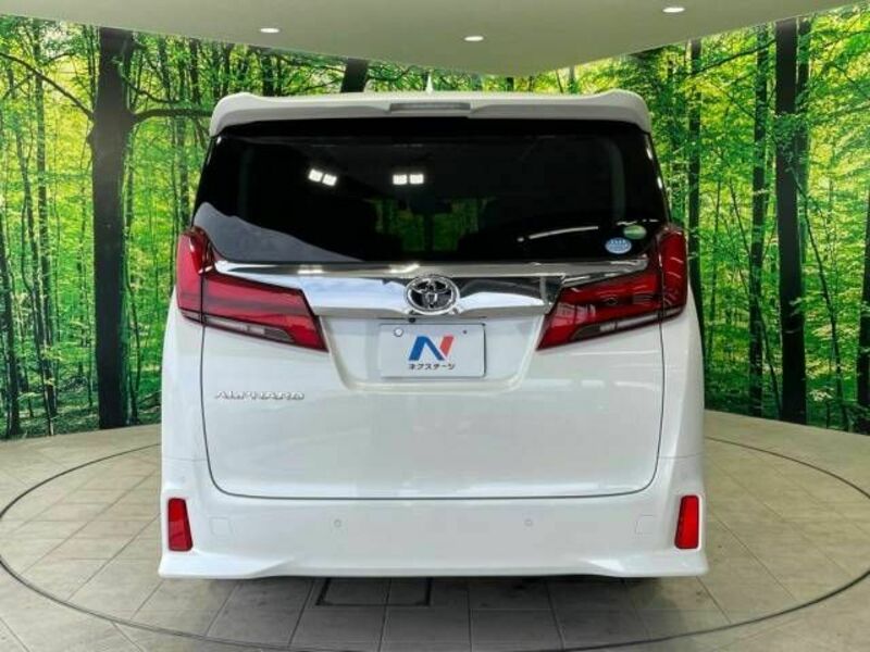 ALPHARD-17