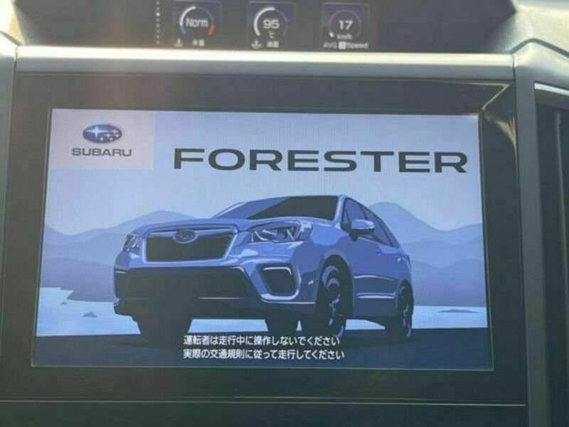 FORESTER-2