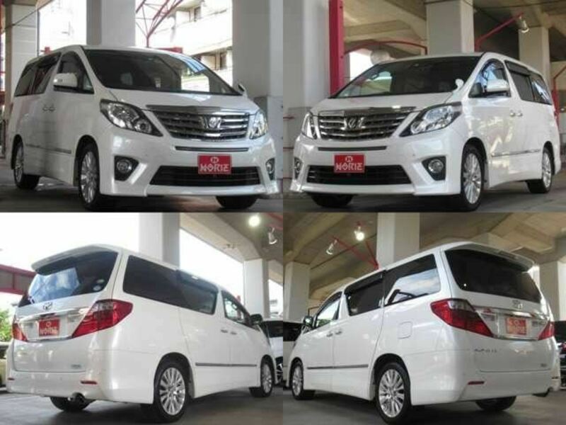 ALPHARD-31