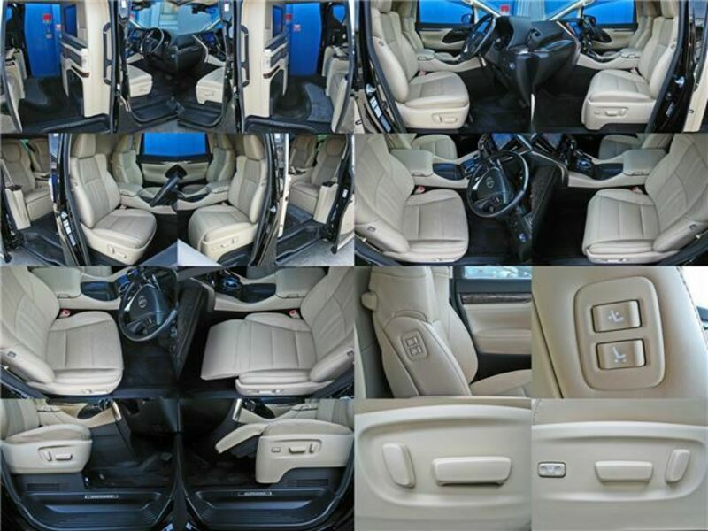 ALPHARD-34