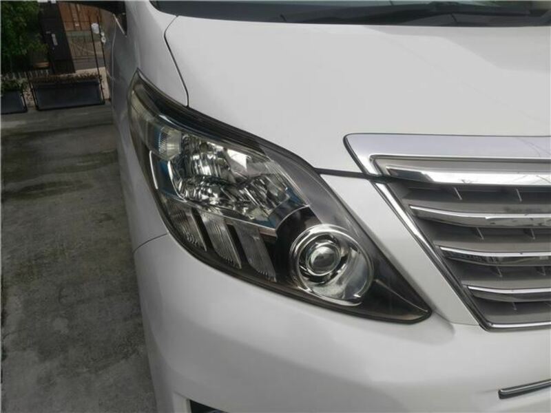 ALPHARD-28