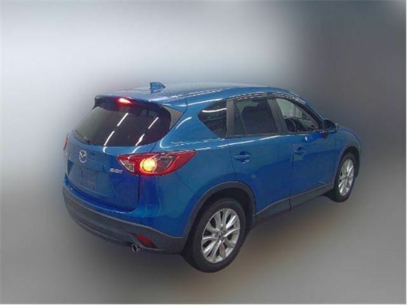 CX-5-4