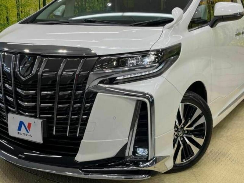 ALPHARD-13