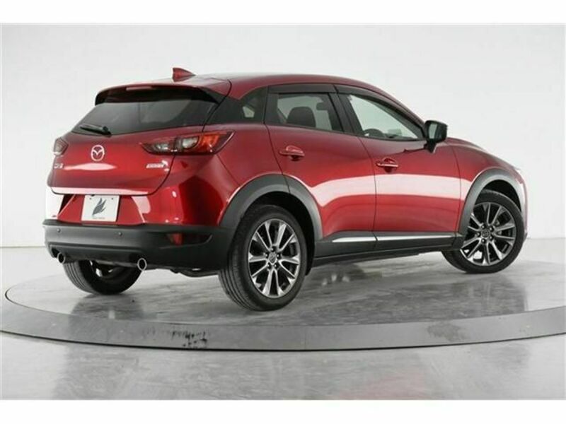 CX-3-6