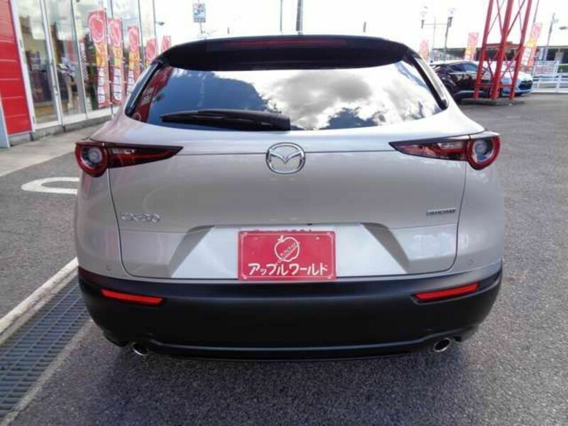 CX-30-9