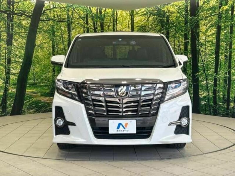 ALPHARD-15