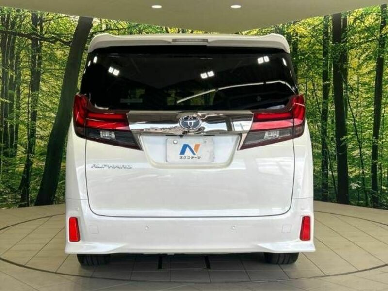 ALPHARD-16