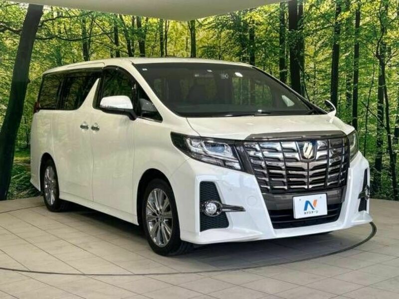 ALPHARD-17