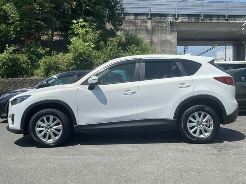 CX-5-19