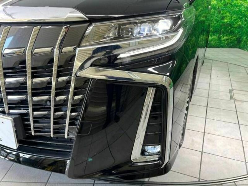 ALPHARD-13