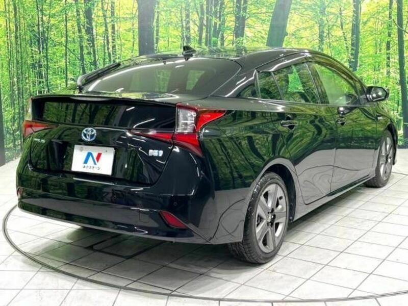 PRIUS-17