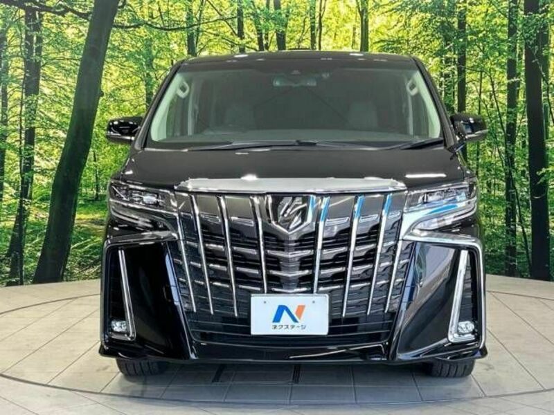 ALPHARD-16