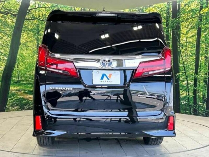 ALPHARD-17