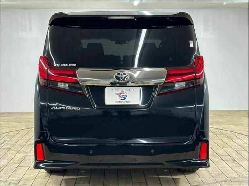 ALPHARD-12