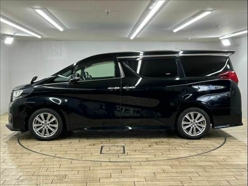 ALPHARD-16