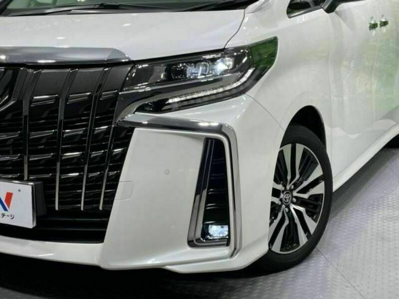 ALPHARD-13