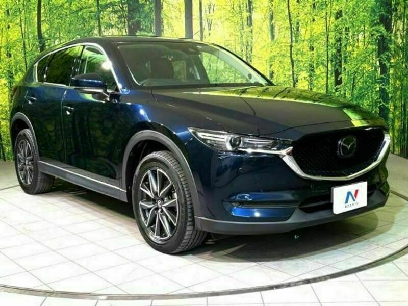 CX-5-16