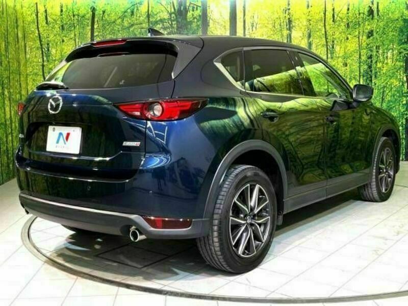 CX-5-17