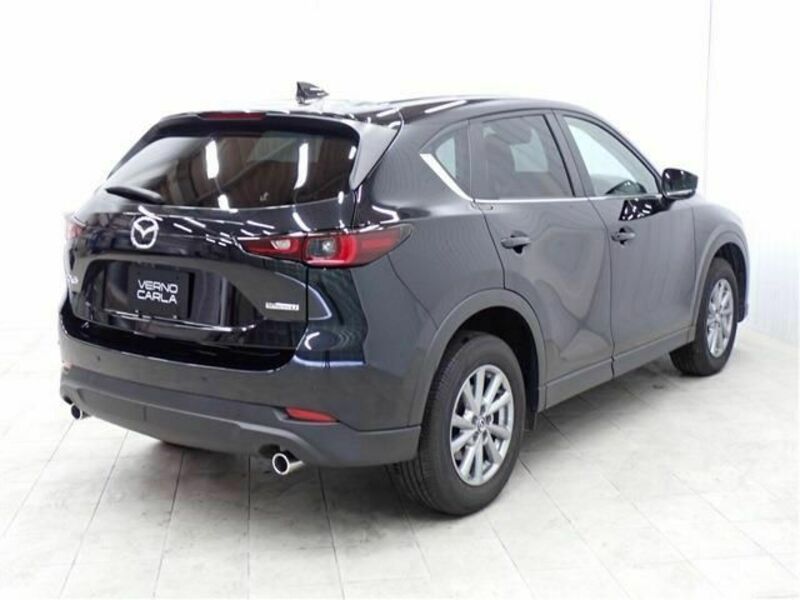 CX-5-3