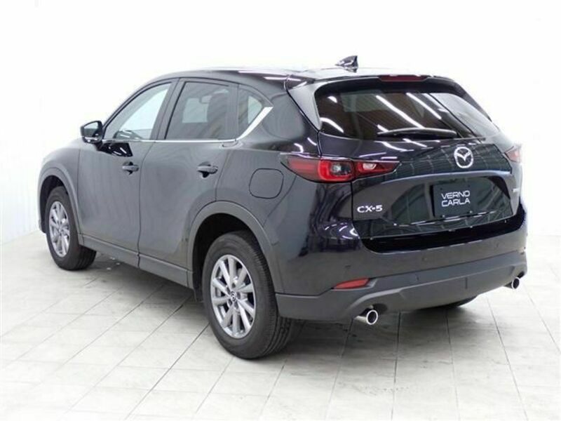 CX-5-6