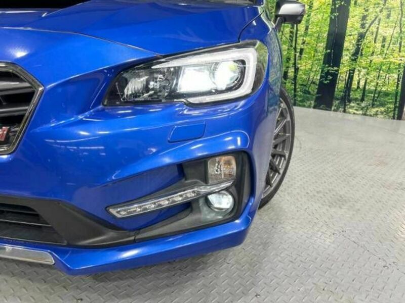 LEVORG-12