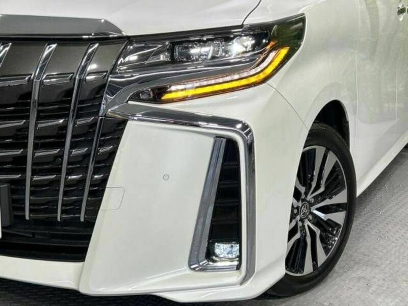 ALPHARD-13