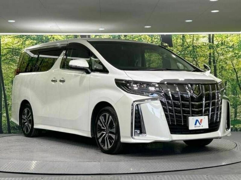 ALPHARD-17