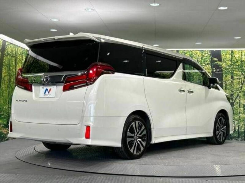 ALPHARD-18