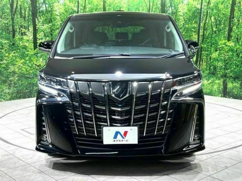 ALPHARD-16