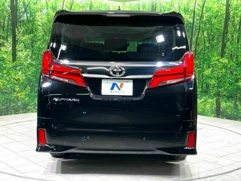 ALPHARD-17