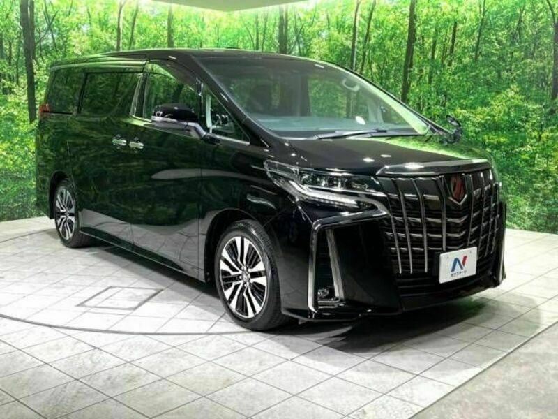 ALPHARD-18