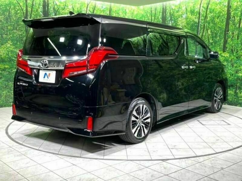 ALPHARD-19