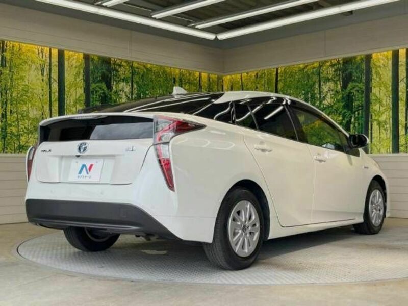 PRIUS-17