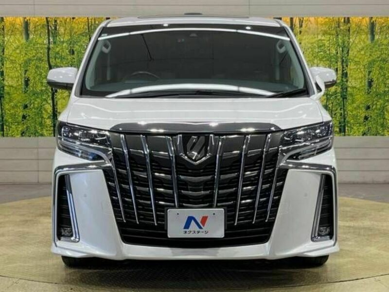 ALPHARD-15