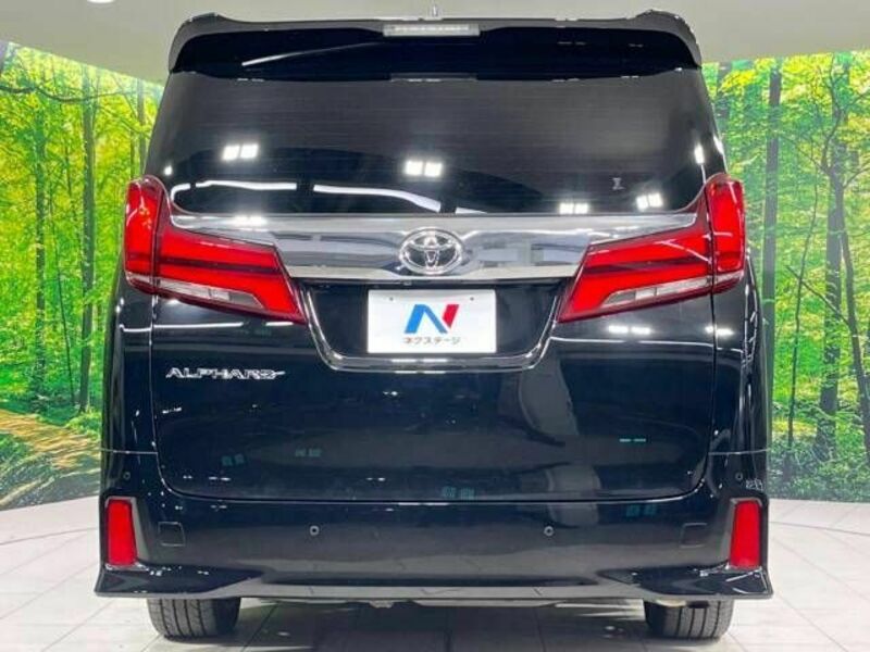 ALPHARD-15