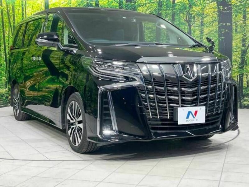 ALPHARD-16