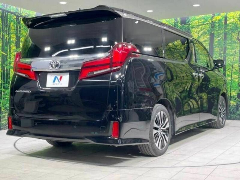 ALPHARD-17