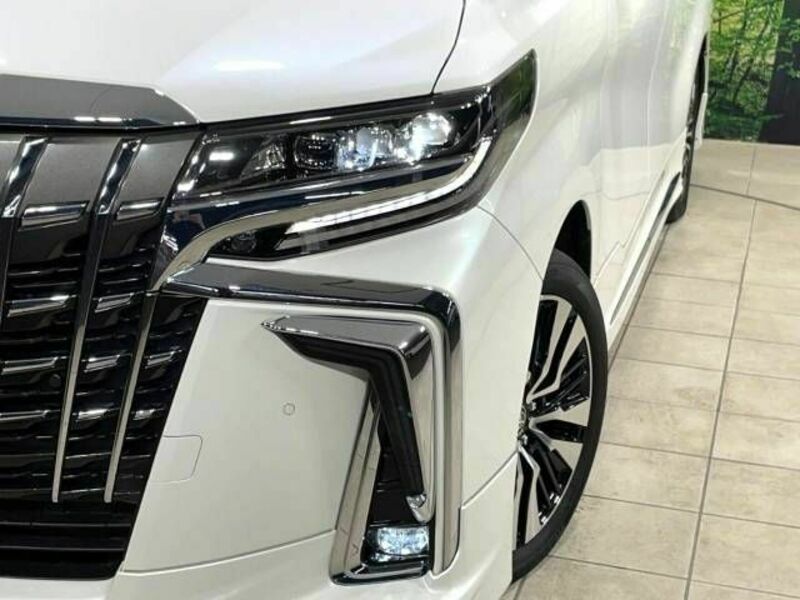 ALPHARD-13