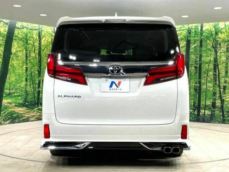 ALPHARD-16