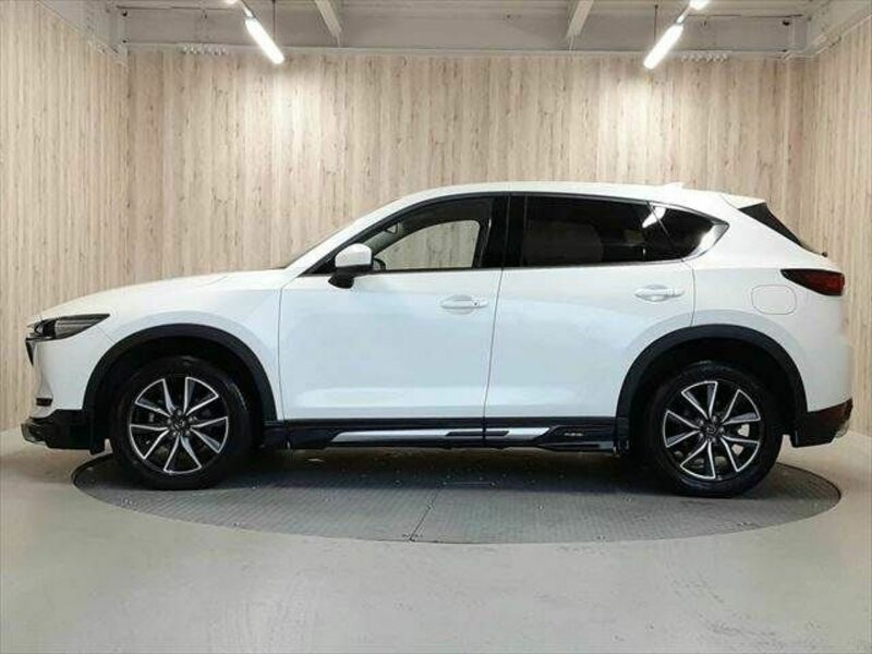 CX-5-22