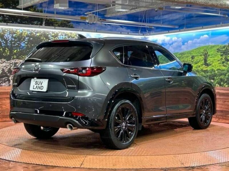 CX-5-17