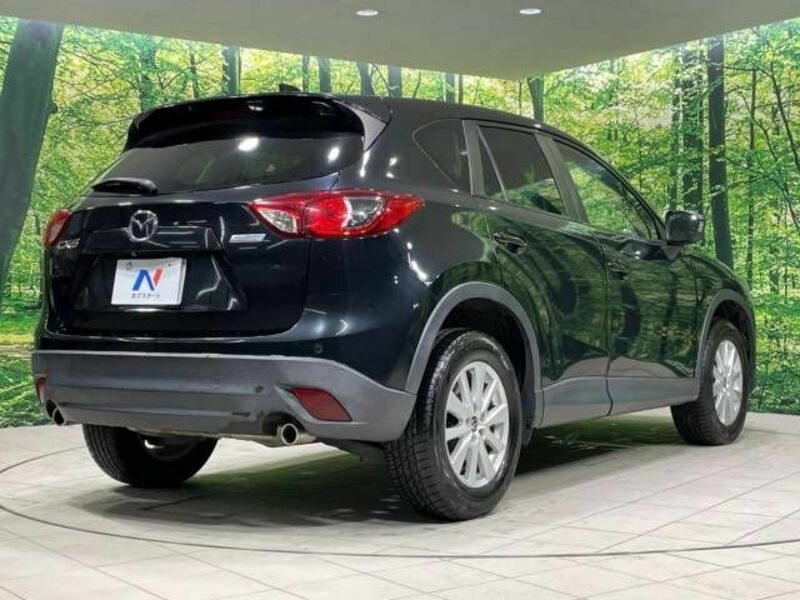 CX-5-17