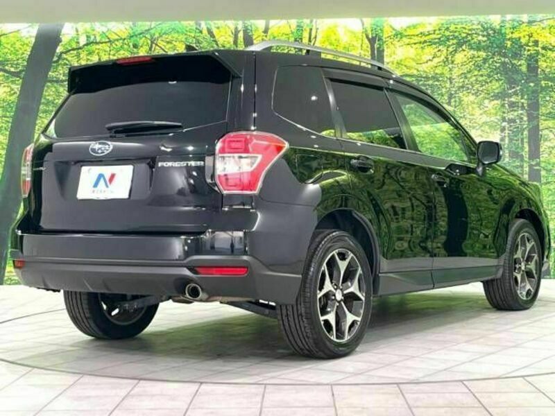 FORESTER-17