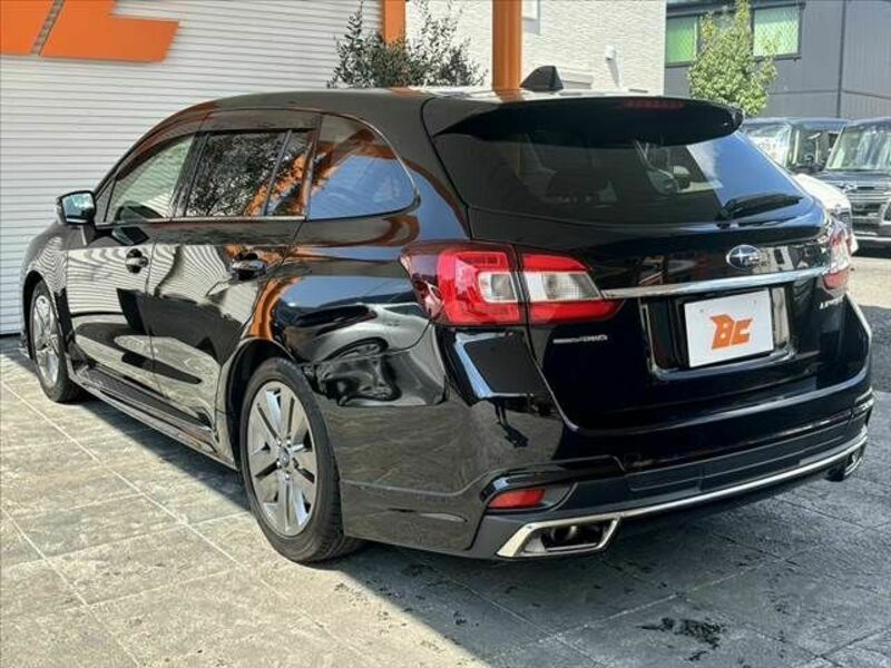 LEVORG-12